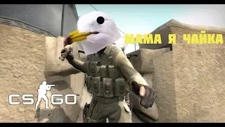 Мама, я чайка-CS:GO