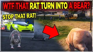 Pretending To Be a Rat NPC Then TRANSFORMING Into a Bear GTA 5 RP | DonDada Roleplay