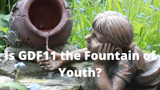 Is GDF11 the Fountain of Youth?