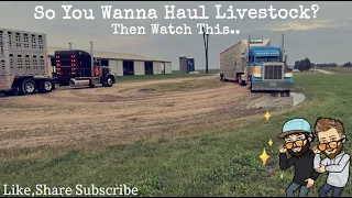 SO YOU WANNA HAUL LIVESTOCK.