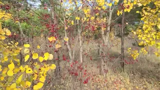 Белогорск.Амурская область.Река Томь.