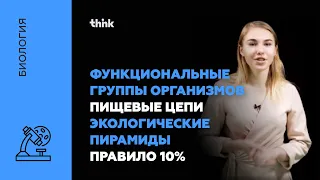 Функциональные группы организмов. Пищевые цепи. Экологические пирамиды. Правило 10% | Биология