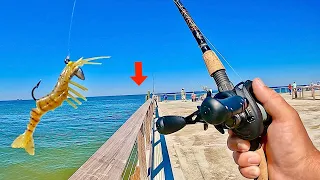 Fishing this *NEW* Alabama SALTWATER PIER for my DINNER!