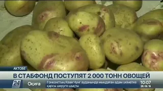 Актюбинские аграрии готовы поставить 2000 тонн овощей в стабфонд, сообщает корреспондент «Хабар 24».