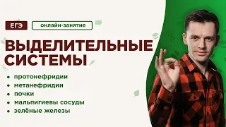 Выделительные системы | ЕГЭ Биология | Даниил Дарвин