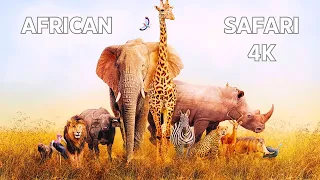 AFRICAN SAFARI 4K.  Scenic Wildlife Film with African Music.