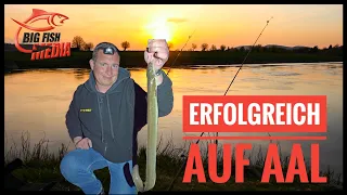 Erfolgreich am Fluss auf Aal - Angeln mit Veit Wilde