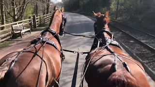 Enjoy a Carriage Ride Around Beamish Museum