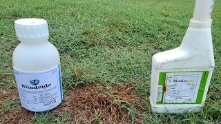 2 Products To Kill Weeds Fast WITHOUT Killing the Grass