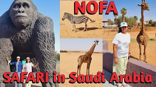 NOFA SAFARI | WILDLIFE PARK, Riyadh #riyadhvlog #riyadhsafari #nofawildlife #safari #riyadh