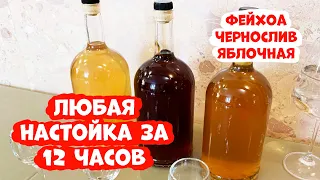 Любая настойка за 12 часов. Рецепт приготовления 3 настоек (Фейхоа чернослив яблочная)(Люксталь 7М).