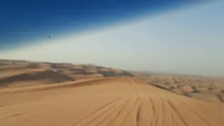 Desert safari 110524