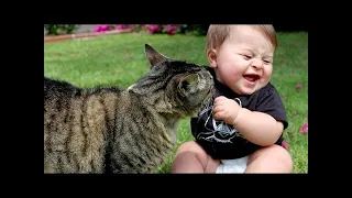 Funny Babies Playing with Dogs Compilation   Funny Baby and Pets Cool Peachy 2023