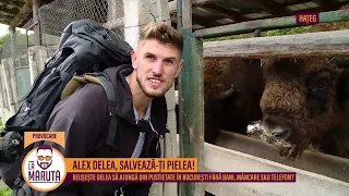 Alex Delea, salvează-ți pielea!