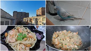 Vlog: Spaghete cu midii și creveti/ Clătite și treburi ale casei!