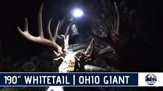 190" Whitetail Buck | Ohio Giant Self-Filmed