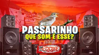 PASSARINHO, QUE SOM É ESSE? (Mix) - DJ Eddye