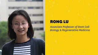 Podcast | Associate Professor Rong Lu: Stem cell biology in the context of aging and disease