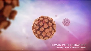 Cervical Disease and HPV