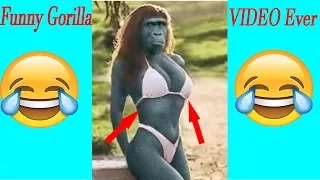 Funny Gorilla videos Ever 2017...Try not to laugh By top 10 Topics.