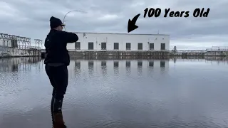 Fishing a CENTURY OLD CANAL for HUNGRY FISH in NEWFOUNDLAND!