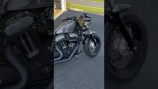 Harley Davidson Sportster 48 Vance and Hines Exhaust