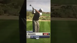 Tiger Woods 2008 Swing!!
