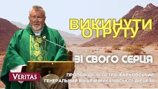 Викинути отруту зі свого серця.Проповідь: о. Петро Жарковський, генеральний вікарій