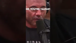 Joe Rogan “The problem with society, Male energy is bad”