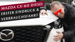 Erster Eindruck & Verbrauchstest - Mazda CX-60 Homura 3.3l Diesel | 6-Zylinder | 450 NM & 200 PS