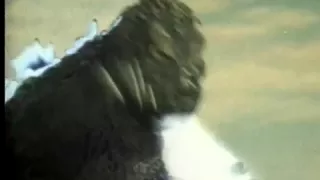 Godzilla vs. Mothra (trailer)