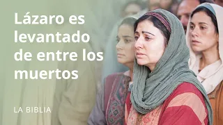 Lázaro es levantado de entre los muertos