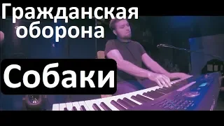 Гражданская оборона - "Собаки" / Евгений Алексеев, концерт