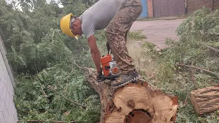 Stihl ms 250 любимая пила в деле