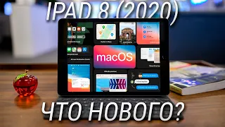 iPad 8 обзор и распаковка / Все что нужно знать про самый дешевый Apple iPad 2020