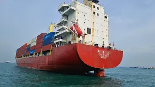 Anchoring Giants: Big Container Ship Drops Anchor | SHIPSPOTTING | SINGAPORE ANCHORAGE | MARITIME