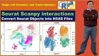 Seurat Scanpy Video Tutorials: Convert Seurat Objects into H5AD Files