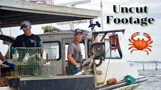 Catching Maryland Blue Crabs on a Real Commercial Work Boat!