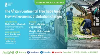 The African Continental Free Trade Area: How will economic distribution change?