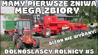 MAMY PIERWSZE ŻNIWA ♦ MEGA ZBIORY ♦ DOLNOŚLĄSCY ROLNICY #5 ♦ FS 19 ♦ BIZON PRYWATNY