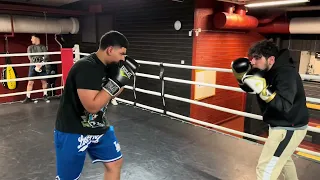 Sparring ( 2 February 2024 )