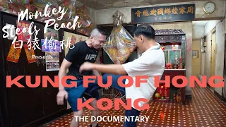 Chow Gar Southern Mantis - Kung Fu of Hong Kong ep7 @EvosBasics