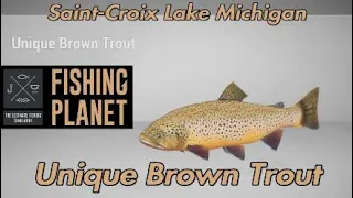 Unique Brown Trout - Saint-Croix Lake Michigan - Fishing Planet