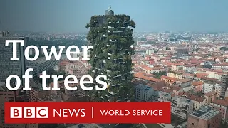 Could vertical forests improve our cities and health? - BBC World Service