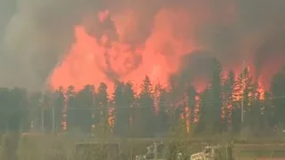 Wildfire in Canada forces entire city to evacuate