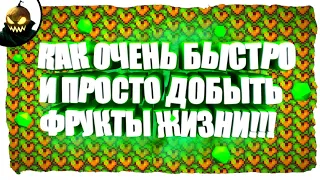 Terraria 1.4.3.6 / Террария 1.4.3.6 🔥🔥🔥[КАК ОЧЕНЬ БЫСТРО И ПРОСТО ДОБЫТЬ ФРУКТЫ ЖИЗНИ!!!]🔥🔥🔥