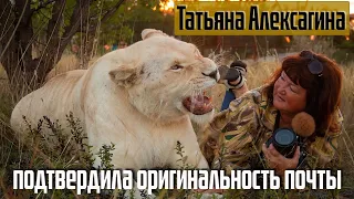 Татьяна Алексагина - пресс-служба парка львов "Тайган" подтвердила достоверность слитых писем