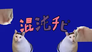 【音mad】混沌チピ（猫ミーム）