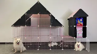 How To Make Dog Castle for Pomeranian puppies With Cube Grid Wire - DIY Cats House - Mr Pet Family