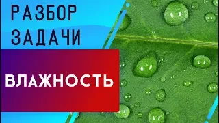 Влажность | Разбор задачи | ЕГЭ Физика | Николай Ньютон | ТЕХНОСКУЛ